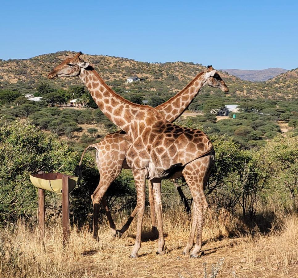 Windhoek Game Camp Lafrenz Township Экстерьер фото