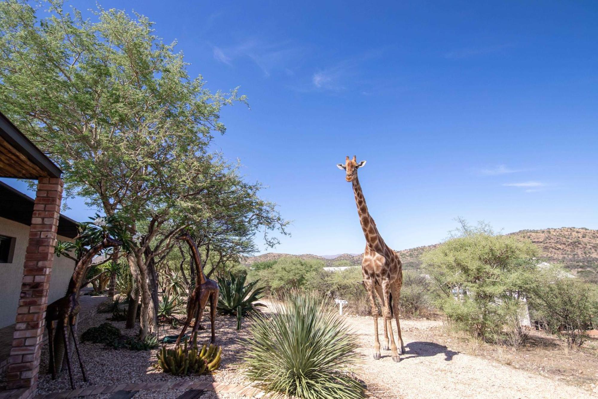 Windhoek Game Camp Lafrenz Township Экстерьер фото