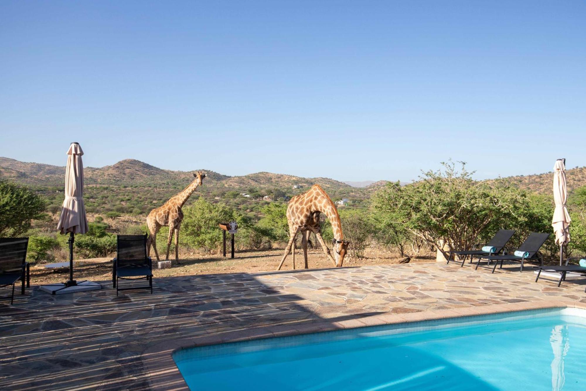 Windhoek Game Camp Lafrenz Township Экстерьер фото