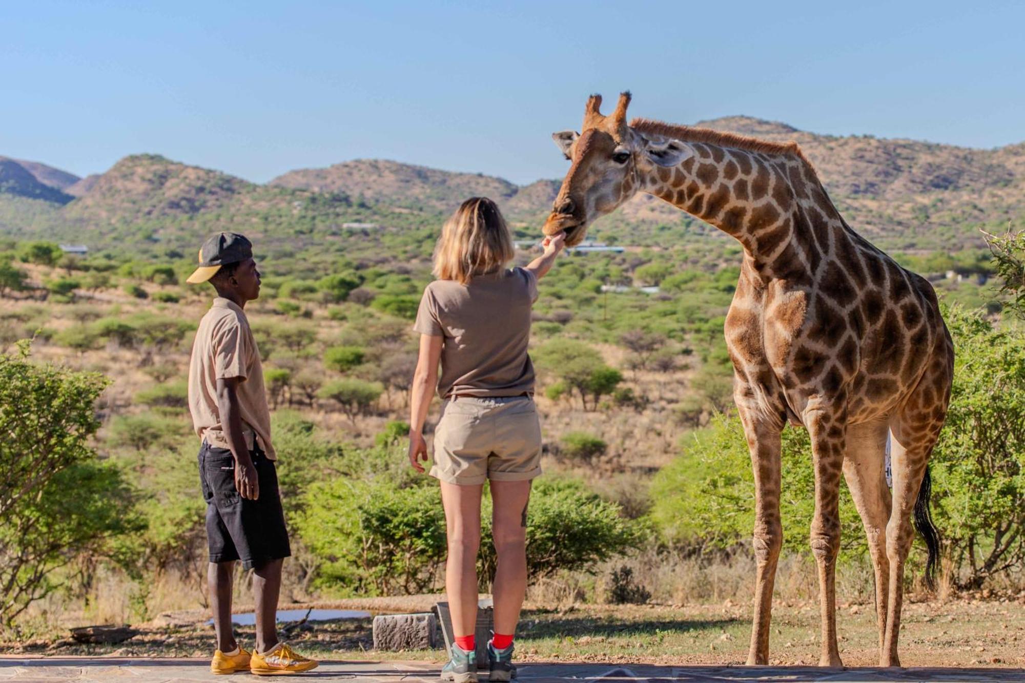 Windhoek Game Camp Lafrenz Township Экстерьер фото