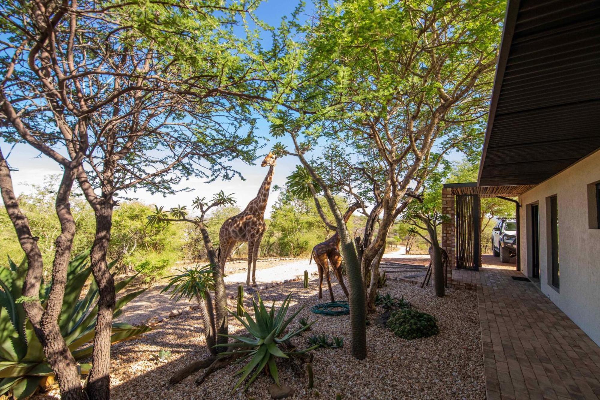 Windhoek Game Camp Lafrenz Township Экстерьер фото