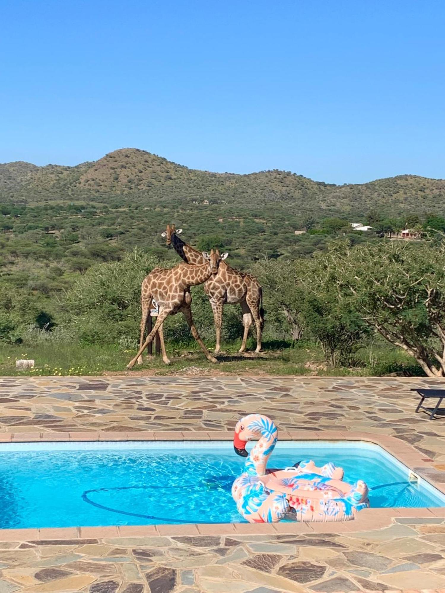 Windhoek Game Camp Lafrenz Township Экстерьер фото