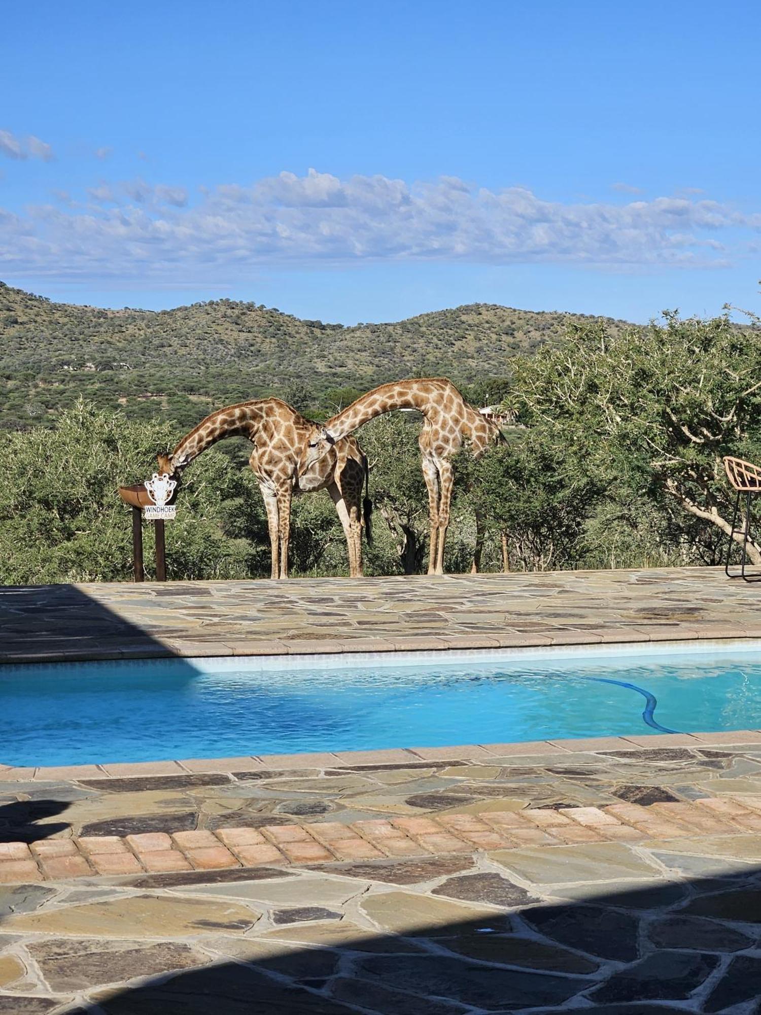 Windhoek Game Camp Lafrenz Township Экстерьер фото