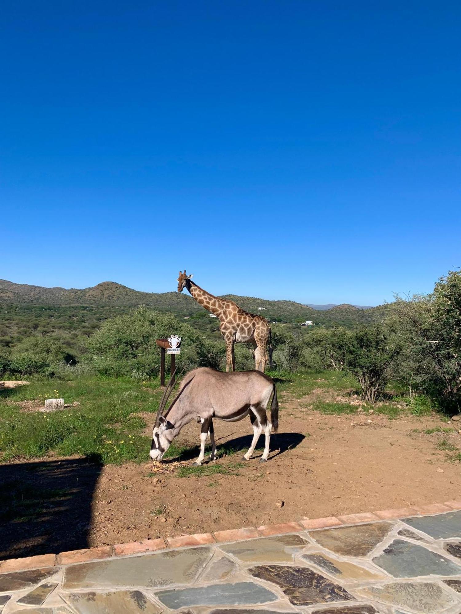 Windhoek Game Camp Lafrenz Township Экстерьер фото