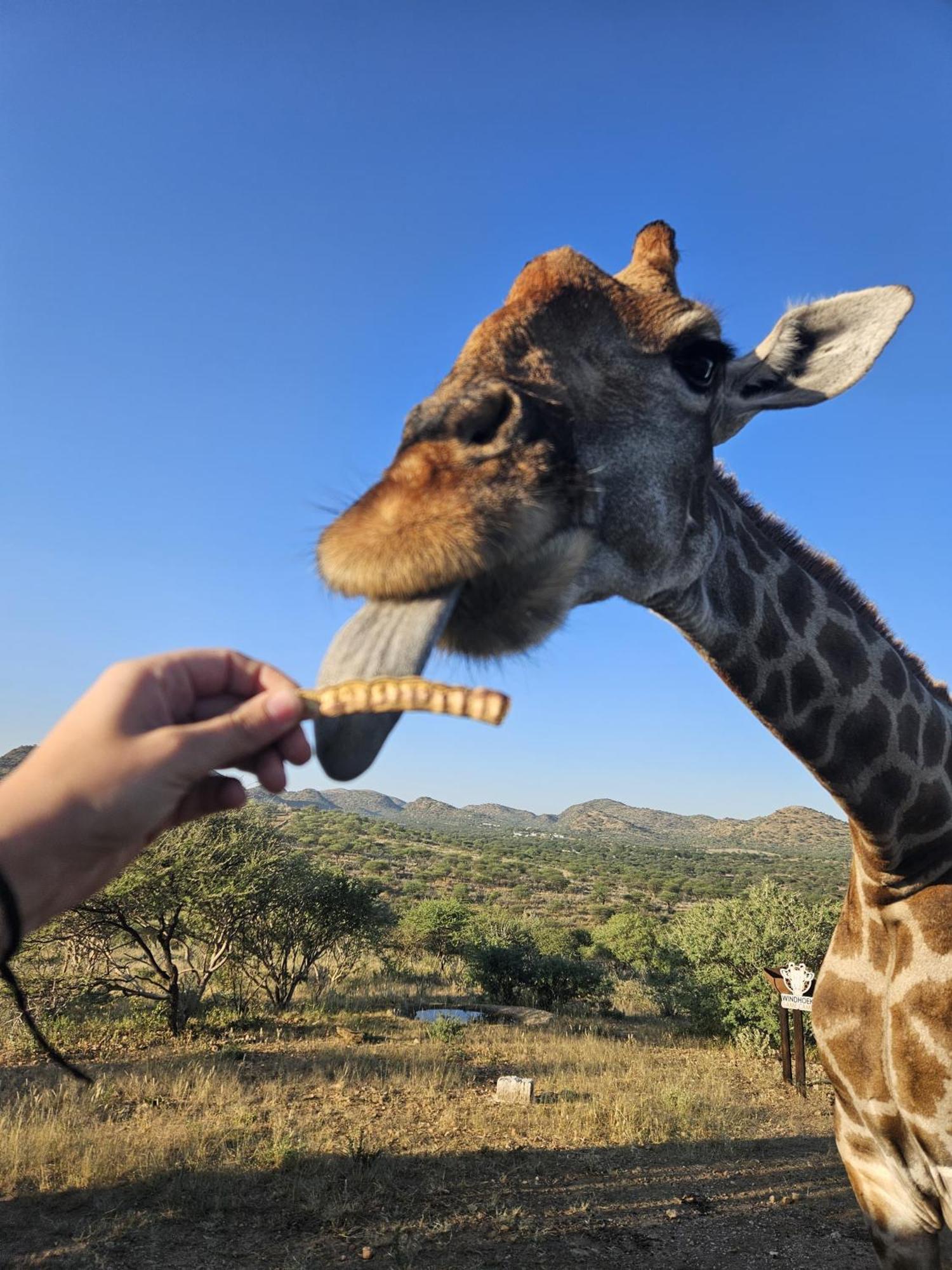 Windhoek Game Camp Lafrenz Township Экстерьер фото